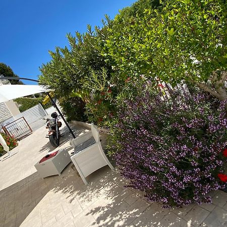 Lagarolina Del Conero B&B ซีโรโล ภายนอก รูปภาพ