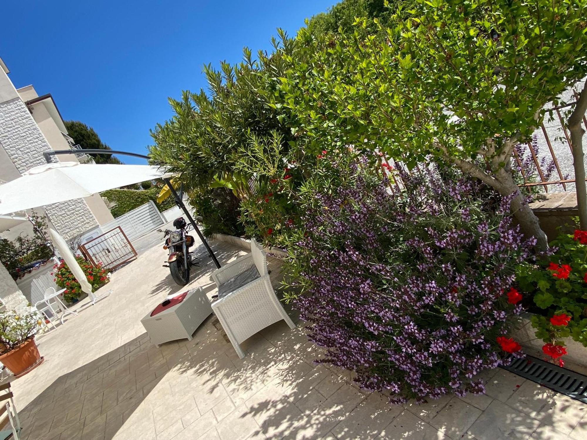Lagarolina Del Conero B&B ซีโรโล ภายนอก รูปภาพ